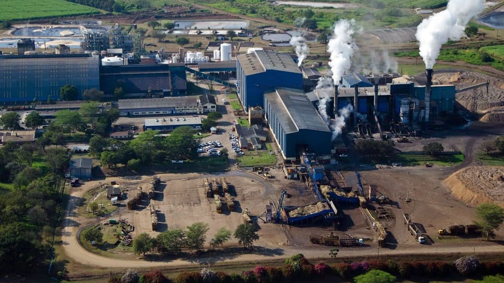 RESCorp forecasts E519m profit for FY 2025/26
